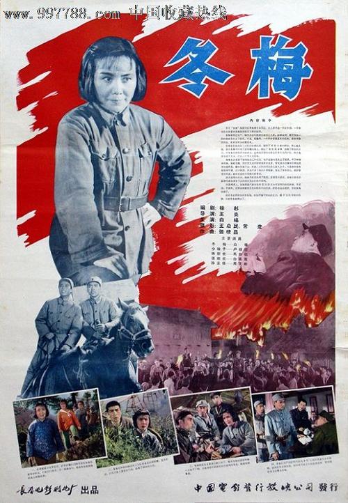 假香港身份